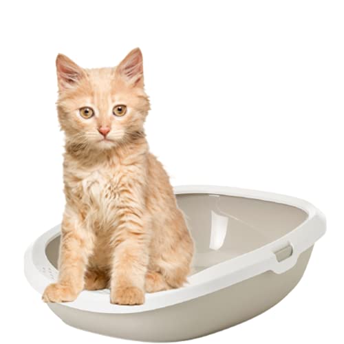 Savic Gizmo Medium Cat Litter Tray with Rim for Indoor Cats, Open Anti-Scatter Cat Toilet Box with Raised Rim for Hygiene & Easy Cleaning, Durable Pet Litter Tray – 17 Inch Mocha - Image 2