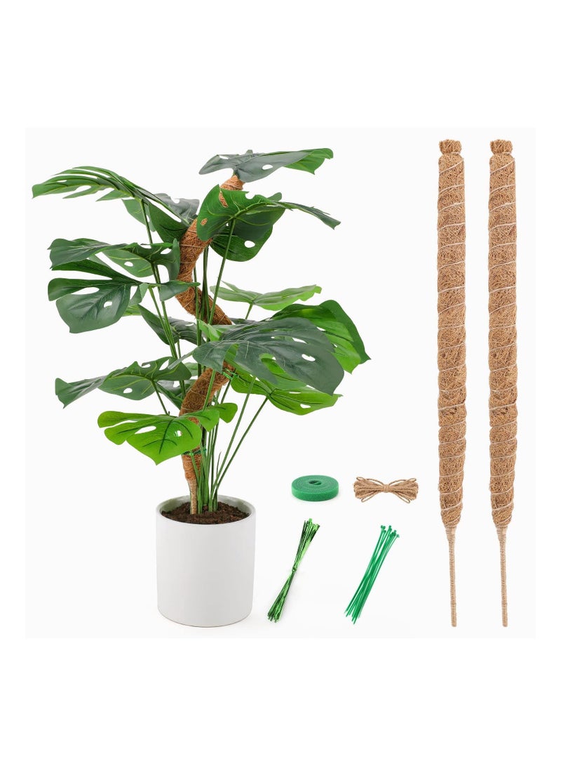 واي آند دي 2 Pcs Coir Moss Pole for Plants Monstera 25Inches Bendable Plant Sticks Support Stakes Indoor Climbing Growth - Image 1