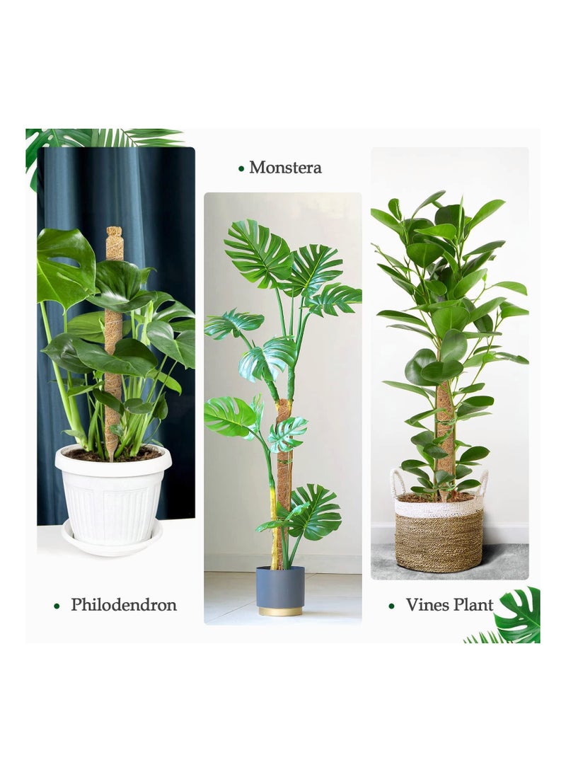 واي آند دي 2 Pcs Coir Moss Pole for Plants Monstera 25Inches Bendable Plant Sticks Support Stakes Indoor Climbing Growth - Image 5