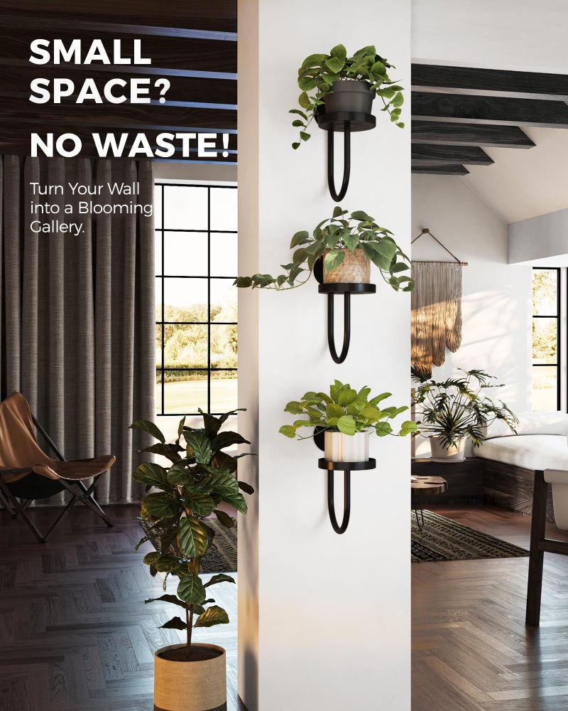 Bamworld Hanging Planters for Indoor Plants Wall Plant Holder Plant Hanger Indoor Wall Planters Window Plant Shelves Hanging Plant Holder Window Plant Hanger Plant Decor Black 3pcs - Image 5