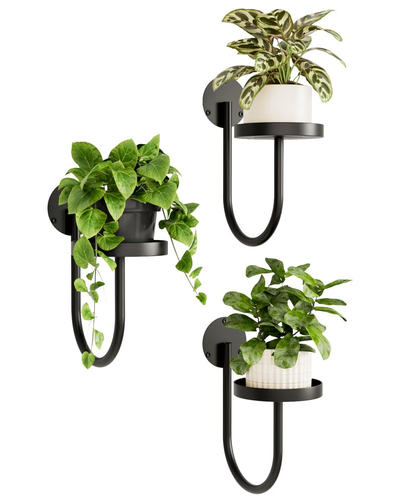 Bamworld Hanging Planters for Indoor Plants Wall Plant Holder Plant Hanger Indoor Wall Planters Window Plant Shelves Hanging Plant Holder Window Plant Hanger Plant Decor Black 3pcs - Image 1