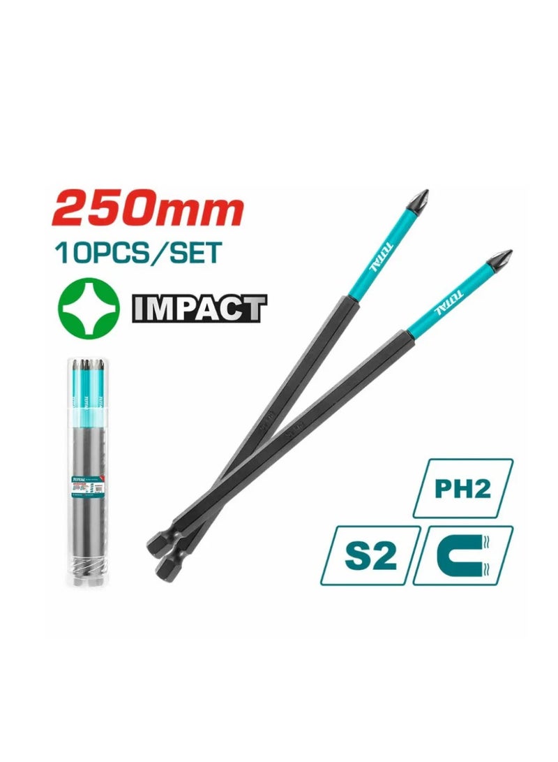 TOTAL 250x2 Cross Screwdriver Bit - TACIM16PH2103 - Total