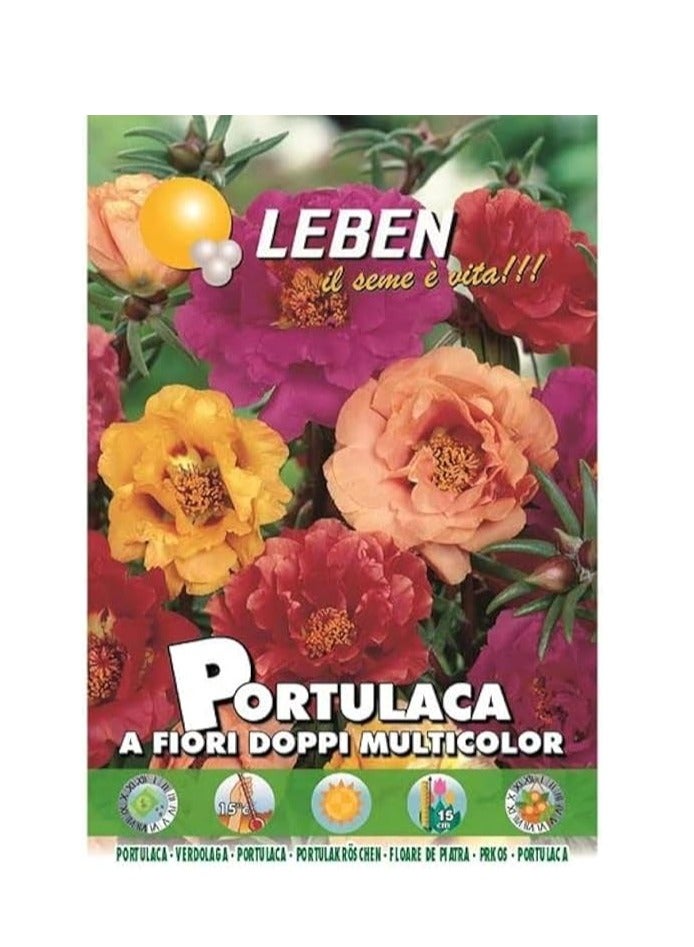 Portulaca A Fiori Doppi Multicolor Premium Quality Seeds By Leben (Italy) "Garden Care"