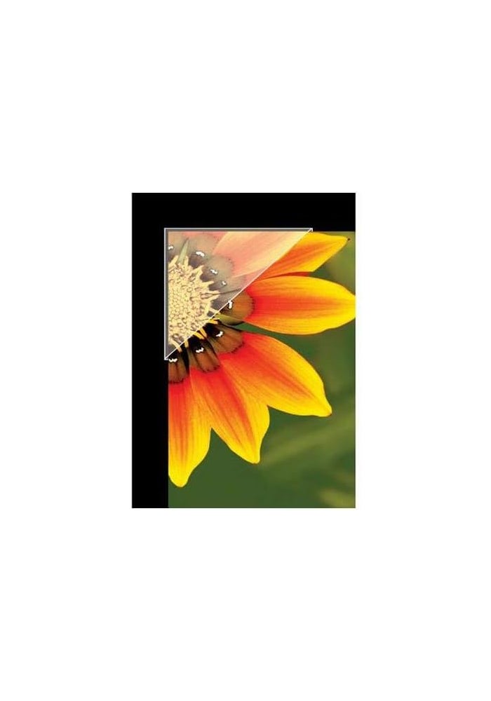 Lineco See-Thru Photo Mounting Corners, Acid-Free, 0.5 Inch, Pack of 240 - Image 2