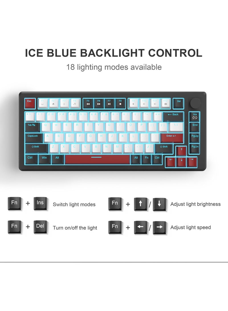 MageGee MageGee 75% Mechanical Gaming Keyboard, Compact Blue Backlit Wired Gaming Keyboards with Red Switches, EVA Foam, Knob Control, STAR75 Portable NKRO PC Gaming Keyboard - Black & White  - Image 2