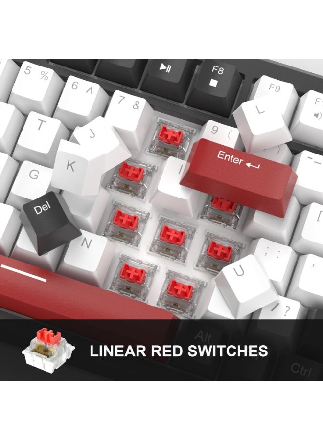 MageGee MageGee 75% Mechanical Gaming Keyboard, Compact Blue Backlit Wired Gaming Keyboards with Red Switches, EVA Foam, Knob Control, STAR75 Portable NKRO PC Gaming Keyboard - Black & White  - Image 4