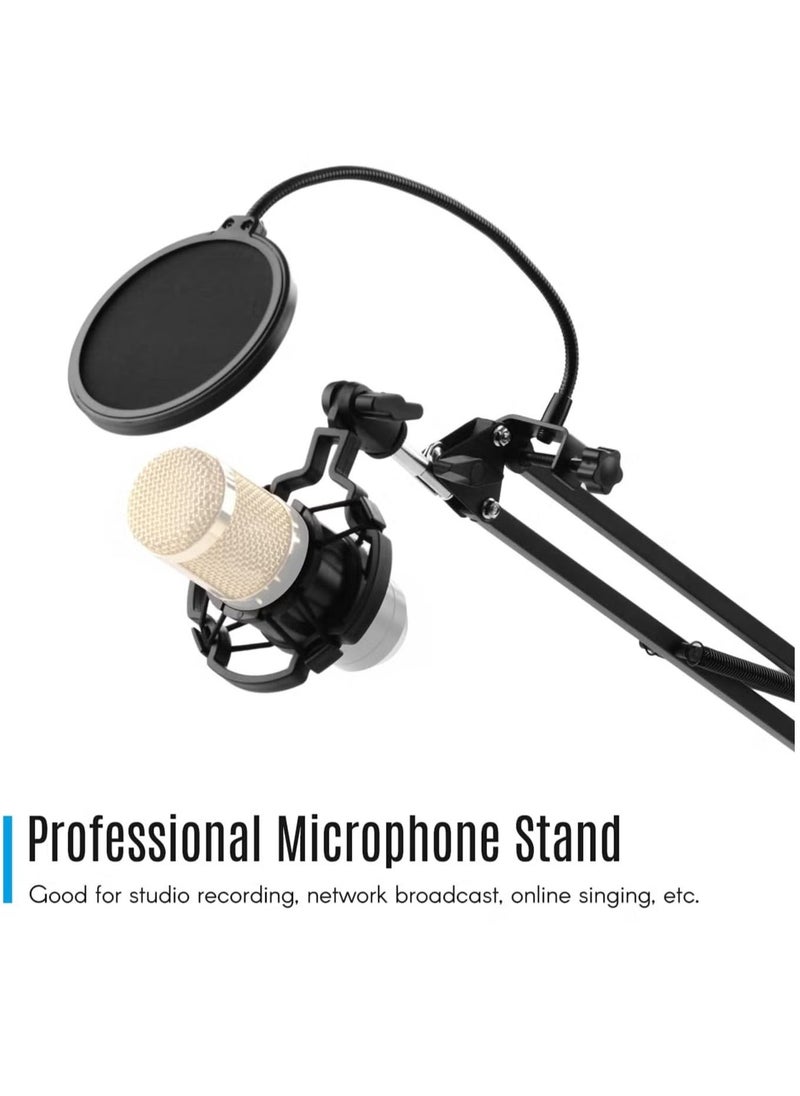 ELTRAZONE Adjustable Foldable Microphone Stand – Heavy Duty Metal Mic Arm Bracket with Shock Proof Holder, Windshield, and Pop Filter for Studio Recording, Live Video Broadcasting, and Online Singing  - Image 5