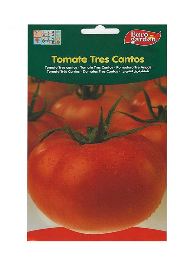 Euro Garden Euro Garden Tomato Big  - Image 1