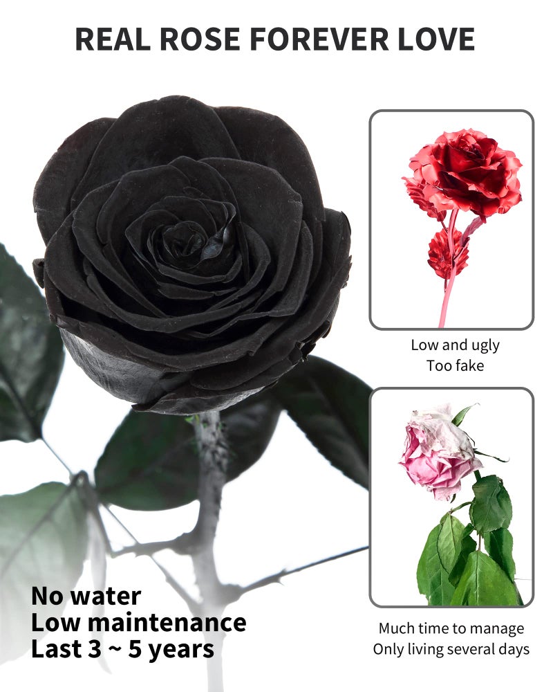 SofLiv Preserved Rose, Preserved Flowers for Delivery Prime, Single Rose Flower Gifts for Women, Real Rose Gifts for Her, Birthday Gifts, Valentines Flowers for Girlfriend - Black - Image 3