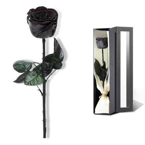 SofLiv Preserved Rose, Preserved Flowers for Delivery Prime, Single Rose Flower Gifts for Women, Real Rose Gifts for Her, Birthday Gifts, Valentines Flowers for Girlfriend - Black - Image 1