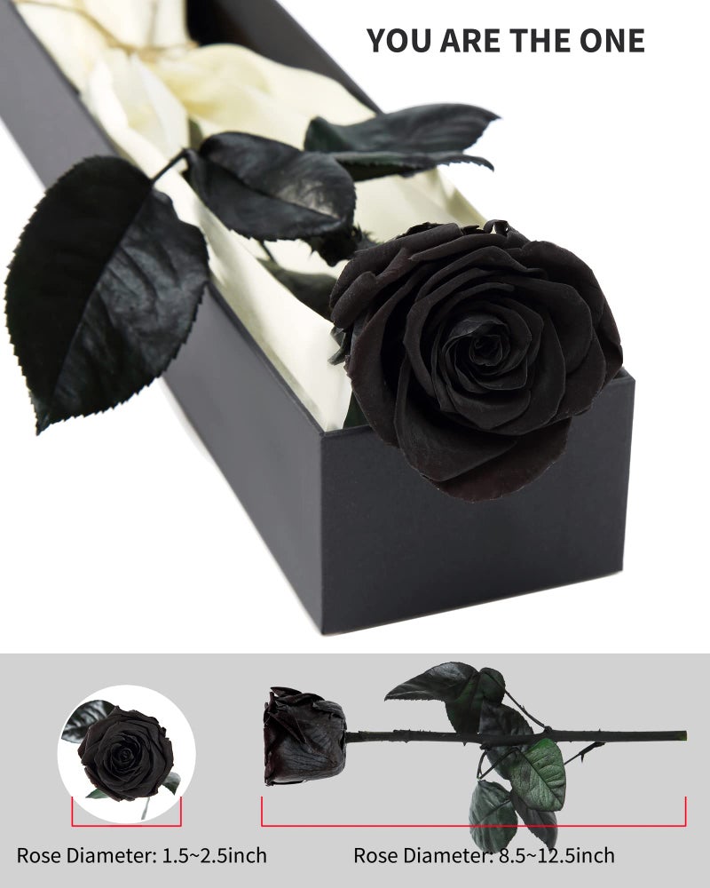SofLiv Preserved Rose, Preserved Flowers for Delivery Prime, Single Rose Flower Gifts for Women, Real Rose Gifts for Her, Birthday Gifts, Valentines Flowers for Girlfriend - Black - Image 2