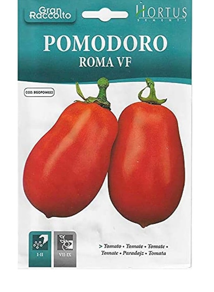 Hortus Hortus Roma Tomato Premium Quality Seeds (Pomodoro Roma VF) (Made in Italy) by Hortus Sementi 