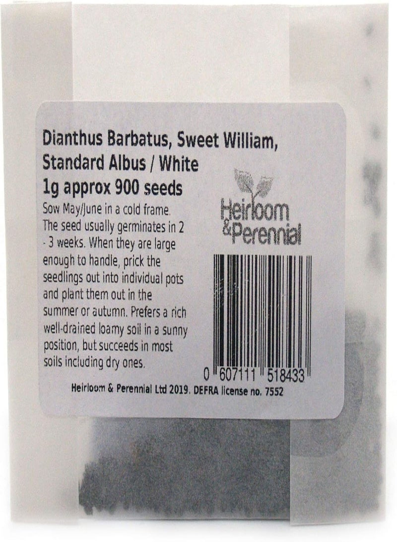 GGOOT Dianthus Barbatus, Sweet William - Standard Albus/White, 1g Approx 900 Seeds - Image 1