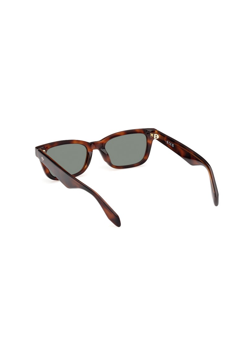 Unisex Navigator Shape Acetate Sunglasses OR011752N53 Lens Size: 53 Millimeter - Blonde Havana - pzsku/Z661CD8E54365627F1271Z/45/_/1727713210/d41c1e84-7c2c-41f5-ba29-579608ce54df