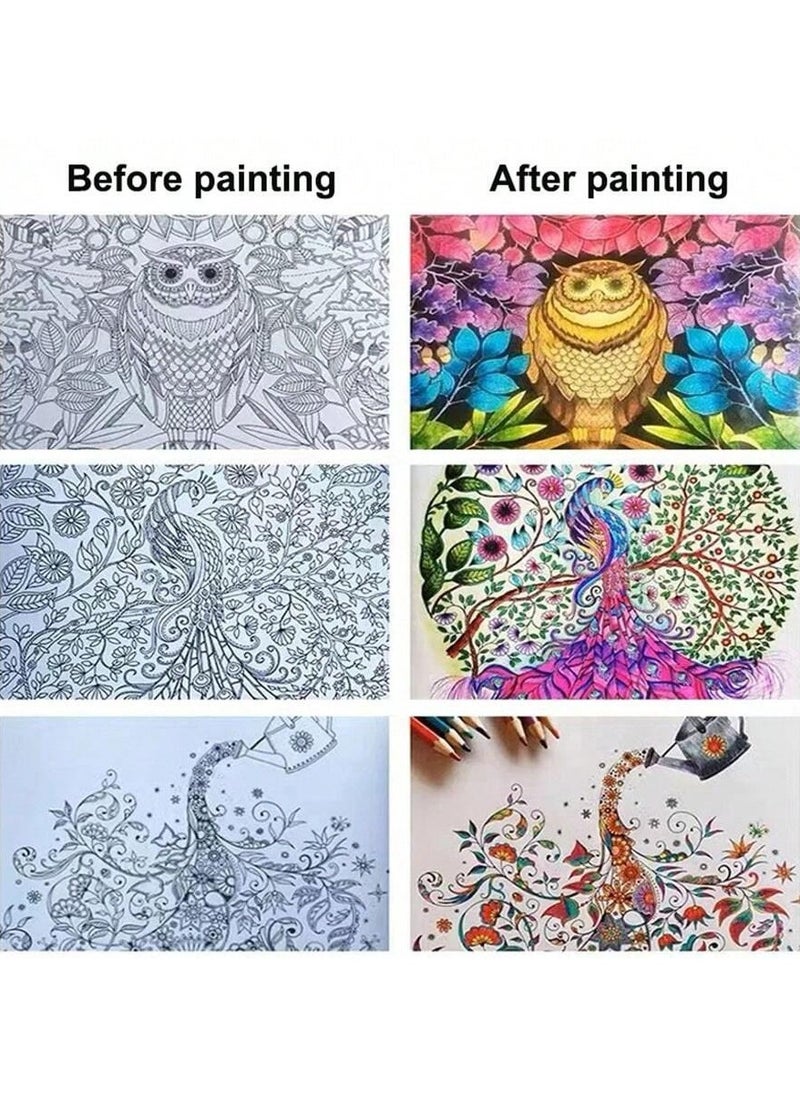 4 Art Colouring Book Multicolour and 12 High Quality Colored Pencils,Secret Garden Adult Decompression Coloring Book Stress Relief Hand-Painted Picture Painting Picture Book 25x25cm
