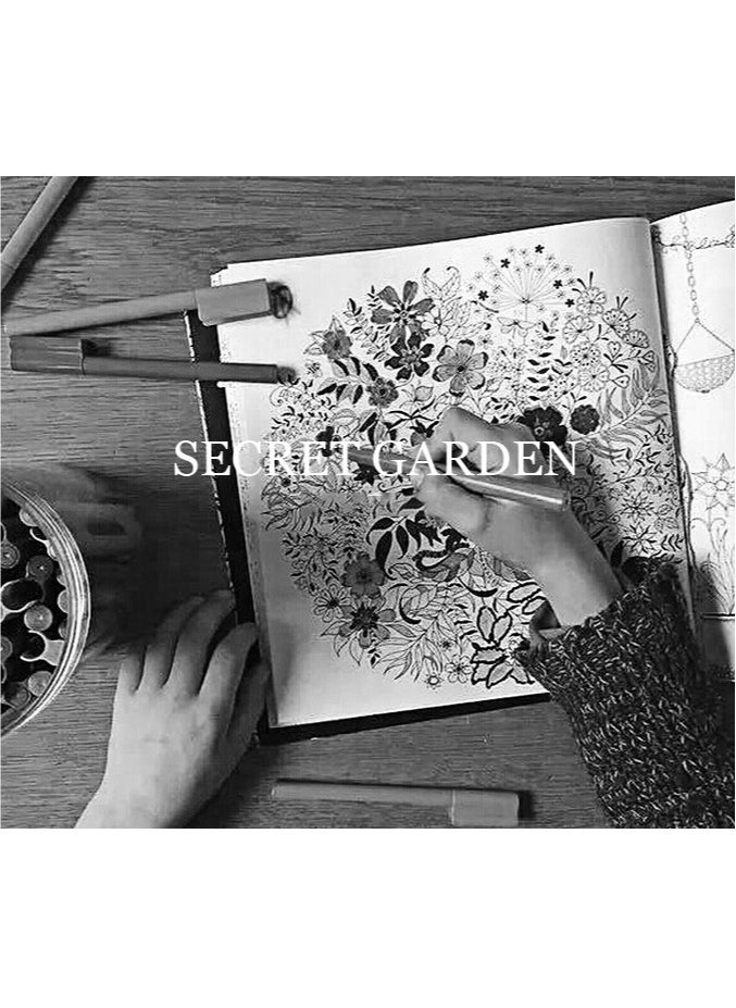 ميري ستيك 4 كتب تلوين فنية متعددة الألوان و12 قلم رصاص ملون عالي الجودة، كتاب تلوين Secret Garden للكبار لتخفيف التوتر، كتاب صور مرسومة يدويًا، 25 × 25 سم  - Image 5