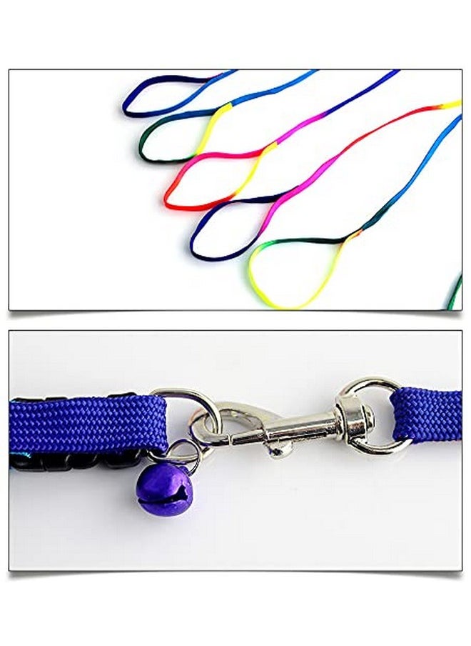 Adjustable Pet Dog Puppy Cat Rabbit Kitten Rainbow Lead Collar Leash - pzsku/Z661E1AA5F82C170C4636Z/45/_/1728281199/e9988b87-9730-4bec-ae5c-be79f6ed39eb