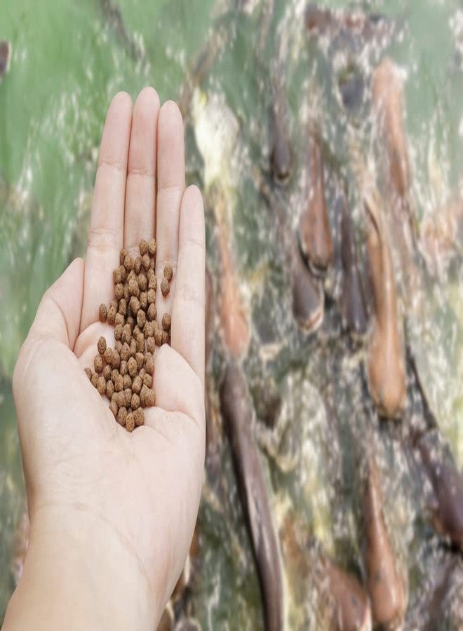 CZ Grain Premium Floating Fish Food Pellets | Pond or Lake Fish Food, Bring Fish to the Surface for Feeding (8 Ounces) - Image 2