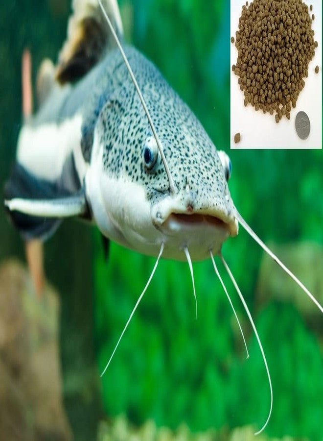 CZ Grain Premium Floating Fish Food Pellets | Pond or Lake Fish Food, Bring Fish to the Surface for Feeding (8 Ounces) - Image 1