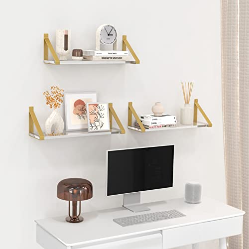 Cilinta Clear Shelves, Gold Floating Shelves Wall Mounted Set of 2, 8mm Transparent Acrylic, Invisible Wall Shelves for Bedroom, Living Room, Bathroom, Kitchen, Office Display Decor (13in) - Image 4