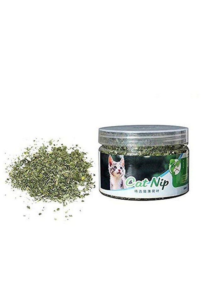Western Era Natural Organic Catnip Powder With Menthol Flavor To Relax And Train Your Cat, Kitten (20Grm) - Image 1