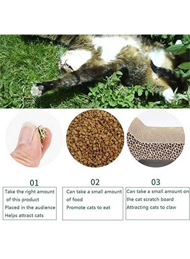 Western Era Natural Organic Catnip Powder With Menthol Flavor To Relax And Train Your Cat, Kitten (20Grm) - Image 4