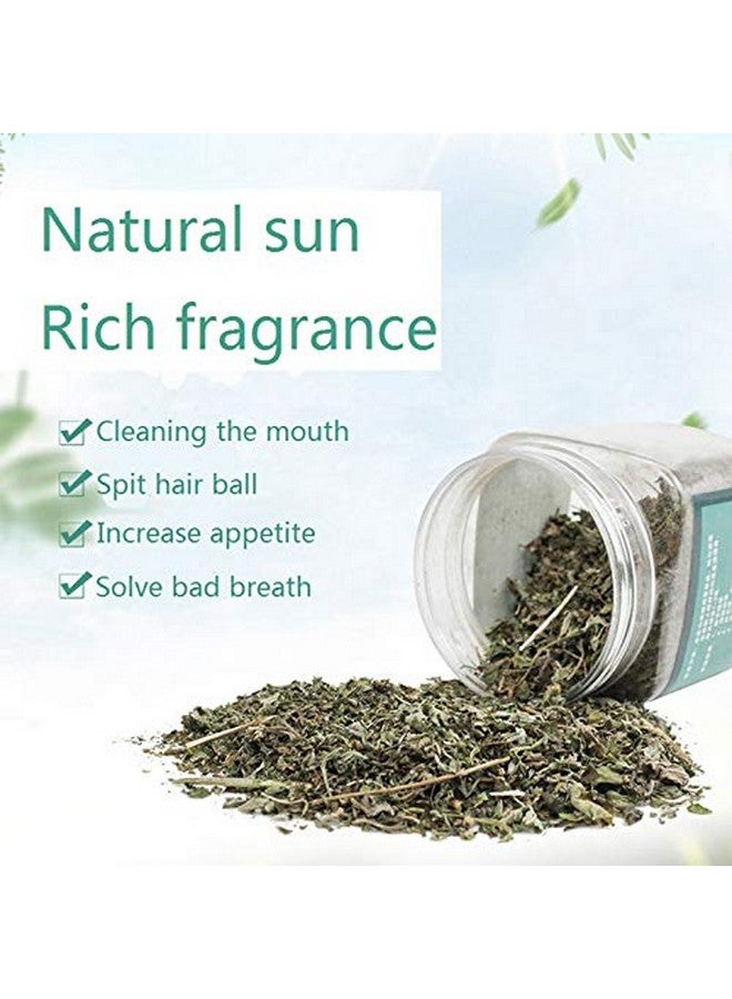 Western Era Natural Organic Catnip Powder With Menthol Flavor To Relax And Train Your Cat, Kitten (20Grm) - Image 2