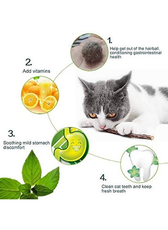 Western Era Natural Organic Catnip Powder With Menthol Flavor To Relax And Train Your Cat, Kitten (20Grm) - Image 3