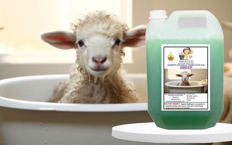 swacch شامبو سواش خاص مصمم للأغنام 5 لترات نيم ألوفيرا - Image 2