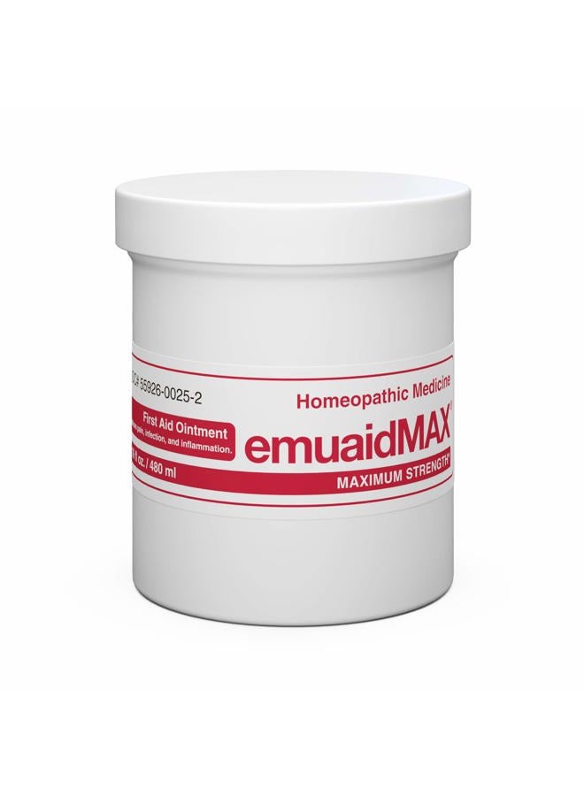emuaid EMUAIDMAX Eczema Ointment, Maximum Strength Soothing Relief for Eczema, Psoriasis, Athlete's Foot, Jock Itch, Rashes, Itchy, Dry, Irritated Skin and Minor Skin Irritations, 16oz - Image 1