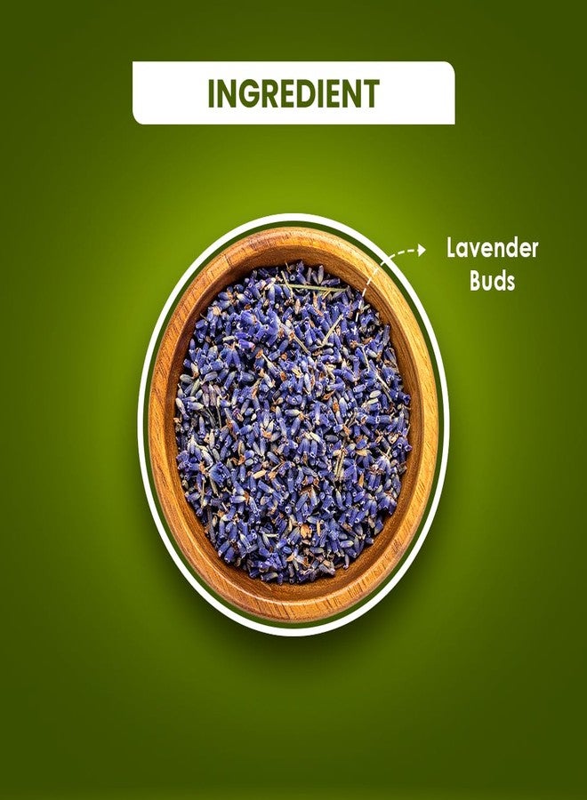 BLUE TEA - Lavender Flower Tea - 30 g - 30+ Cups | Relaxation & Stress Relief | Calming Tea | Caffeine Free - Herbal Tea - Flower Based - Natural - Non-Bitter | Reusable Pet Jar - Image 3