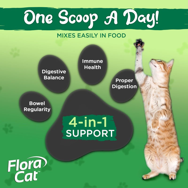 Vital Planet - Flora Cat Probiotic Powder Supplement with 20 Billion Cultures and 10 Diverse Strains High Potency Probiotics for All Cats for Feline Digestive and Immune Support 30 Scoops 3.92 oz - Image 4