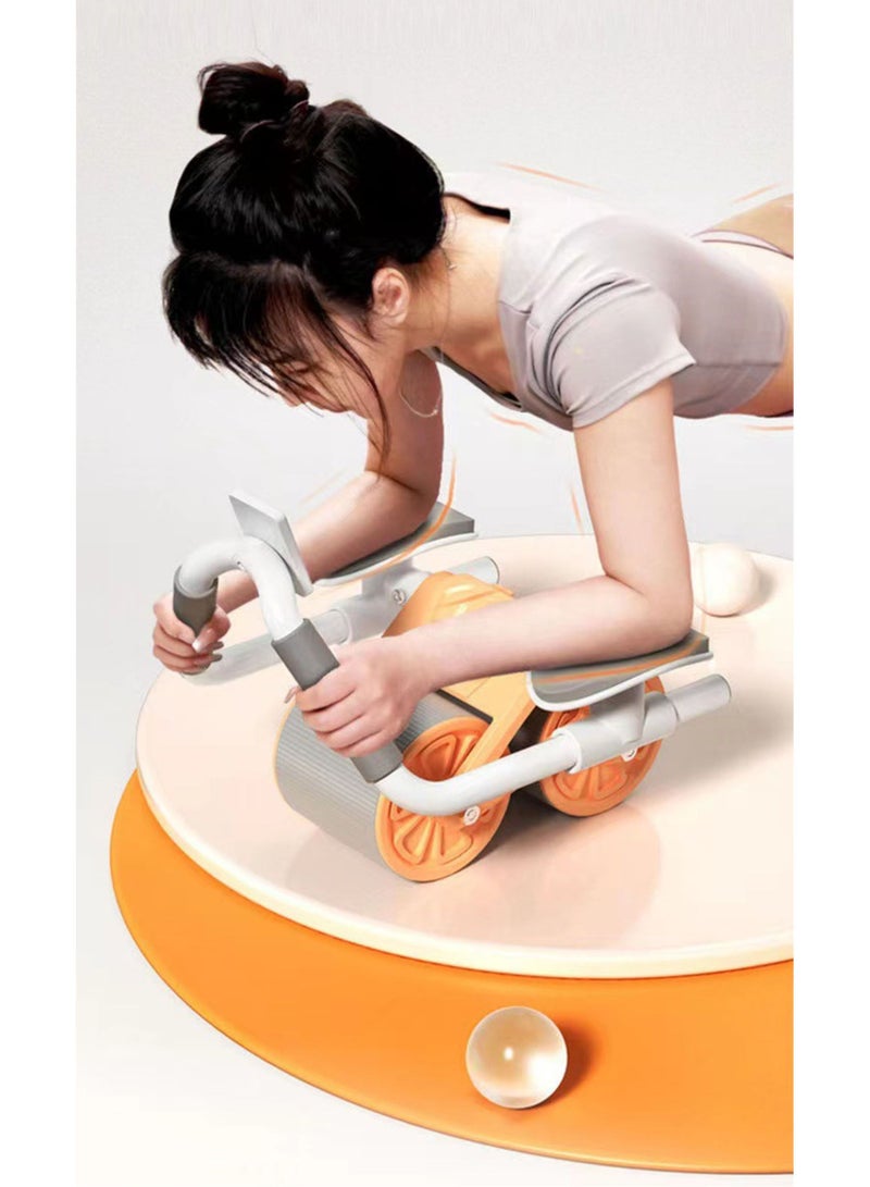 نان براند التلقائي عودة الربيع نوع البطن عجلة - Image 2