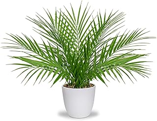 Briful Fake Plant 15Ã¢â‚¬â„¢Ã¢â‚¬â„¢ Artificial Palm Plant in Matte White Pot Realistic Faux Tropical Palm Tree - Image 1