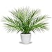 Briful Fake Plant 15Ã¢â‚¬â„¢Ã¢â‚¬â„¢ Artificial Palm Plant in Matte White Pot Realistic Faux Tropical Palm Tree - Image 2
