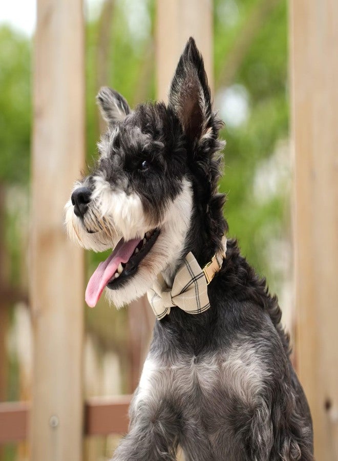 Beirui Cute Small Dog Harness Collar and Leash Set with Bowtie, Soft Adjustable Plaid Puppy Harness for Small Sized Dogs Cats Walks Parties and Photoshoots(Beige,S:Chest 17-23") - Image 5