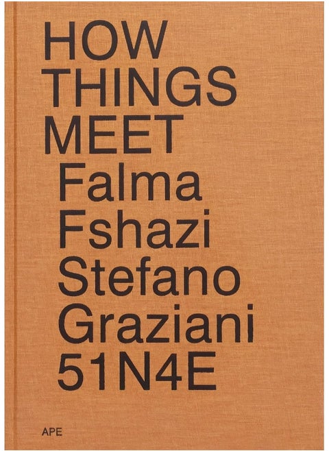 How Things Meet 51N4E Stefano Graziani Falma Fshaz