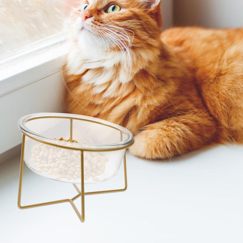 VICASKY Oblique Glass Pet Feeding Bowl with High Metal Stand, 17.8cm 800ml Elevated Dog Feeder, Slow Food Basin for Cats and Dogs, Pet Food Container for Comfortable Mealtime Random Style - Image 5