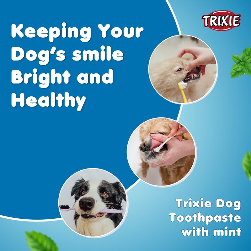Trixie Mint Flavor Toothpaste, Oral & Dental Care for Dogs, Freshens breath, fights plaque, 100 g (Pack of 3) - Image 4
