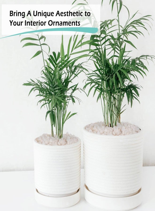 GASPRO 2.5 Pound Pebbles for Indoor Plants, 3/8" Decorative White Rocks for Vases, Planters, Succulents, Bamboo, Highly Polished and Smooth Surface - Image 3