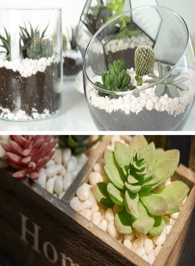 GASPRO 2.5 Pound Pebbles for Indoor Plants, 3/8" Decorative White Rocks for Vases, Planters, Succulents, Bamboo, Highly Polished and Smooth Surface - Image 5