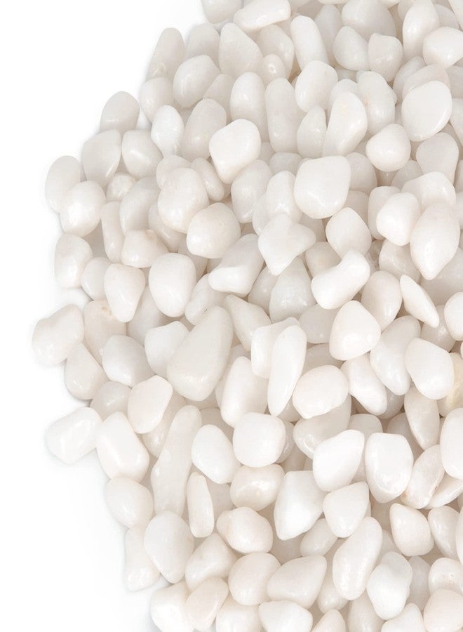 GASPRO 2.5 Pound Pebbles for Indoor Plants, 3/8" Decorative White Rocks for Vases, Planters, Succulents, Bamboo, Highly Polished and Smooth Surface - Image 1