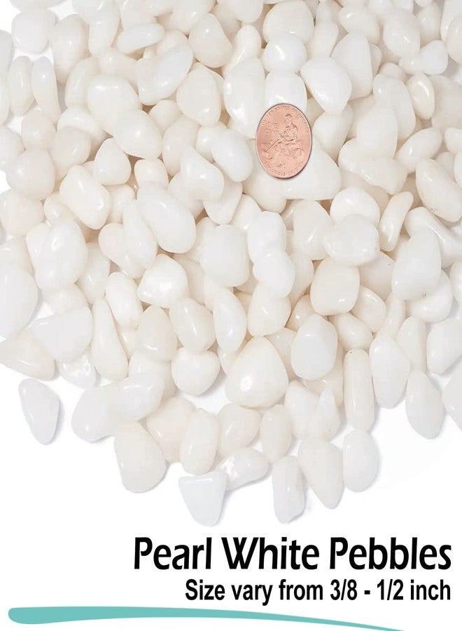 GASPRO 2.5 Pound Pebbles for Indoor Plants, 3/8" Decorative White Rocks for Vases, Planters, Succulents, Bamboo, Highly Polished and Smooth Surface - Image 2