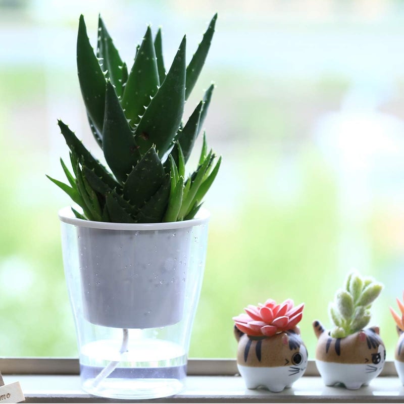 DeELF Outlet 5-Pack 5.1 Inches Clear Self-Watering Planters African Violet Pots Plastic Wicking Flower Pots for Indoor Plants, Herbs, African Violet, Ocean Spider Plant, Orchid Garden Pot - Image 5