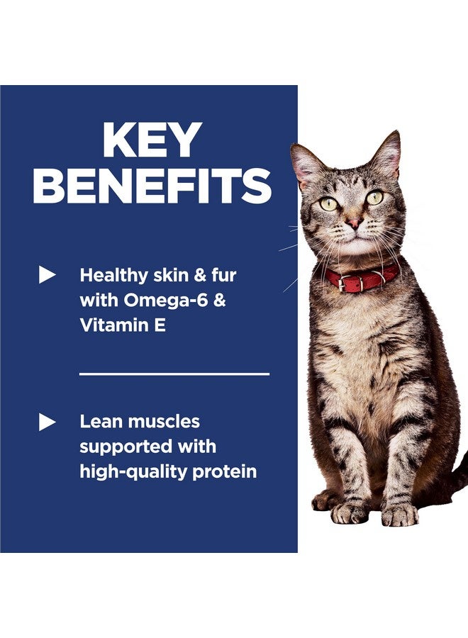 هيل طعام القطط الجاف هيلز ساينس دايت بنكهة الدجاج للبالغين، 4 رطل. - Image 3