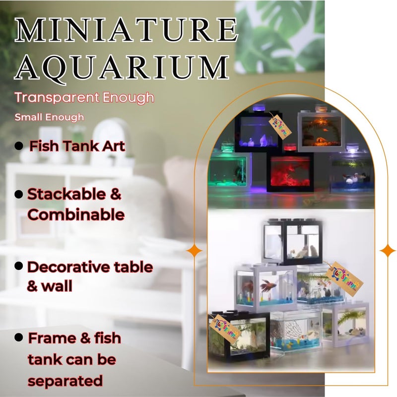 Western Era Small Betta Fish Tank – Compact, Durable, Easy-to-Clean Acrylic Fish Aquarium, Perfect for Small Spaces Like Home, Office,Minimalist, Modern Design, Stylish, Low-Maintenance (Pack of 3) - Image 2