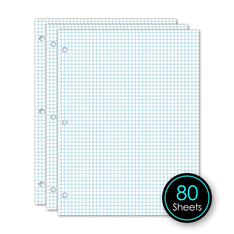 iScholar Quad Filler Paper, 5 Squares per Inch, 10.5 x 8 Inches, 80 Sheets (24880),White - Image 3