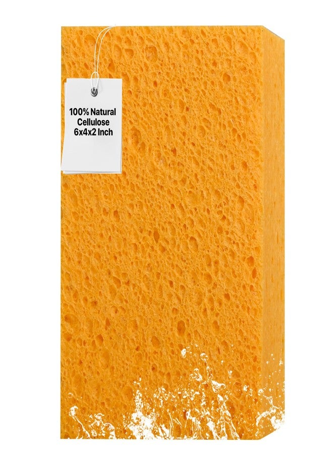 Mt.Jun 1 PCS Large Natural Cellulose Sponges 6x4x2 Inch - Super Absorbent and Biodegradable, Perfect for Home & Kitchen Cleaning, Boat Bail, Car Washing - Image 1