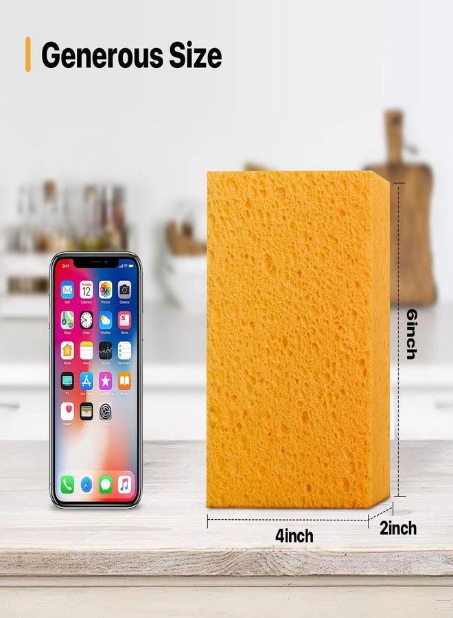 Mt.Jun 1 PCS Large Natural Cellulose Sponges 6x4x2 Inch - Super Absorbent and Biodegradable, Perfect for Home & Kitchen Cleaning, Boat Bail, Car Washing - Image 2