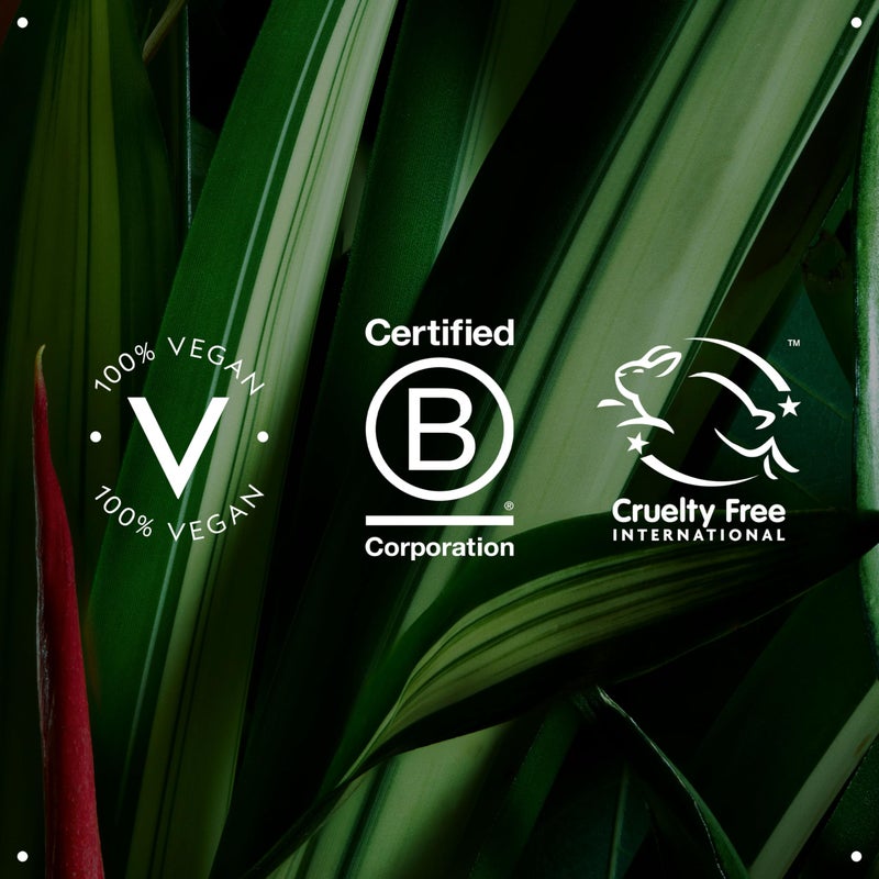 Aveda Chakra 3 Balancing Pure-Fume Mist: Intention | Body & Room Spray | Balances Power Chakra | With Certified Organic Lavender, Lemon, Fir Balsam, 3.4 Fl Oz - Image 5